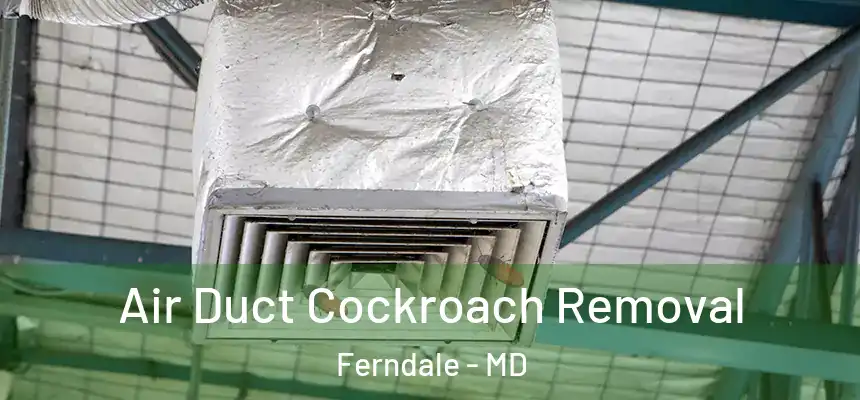 Air Duct Cockroach Removal Ferndale - MD