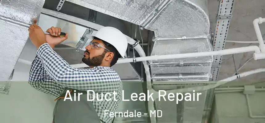  Air Duct Leak Repair Ferndale - MD