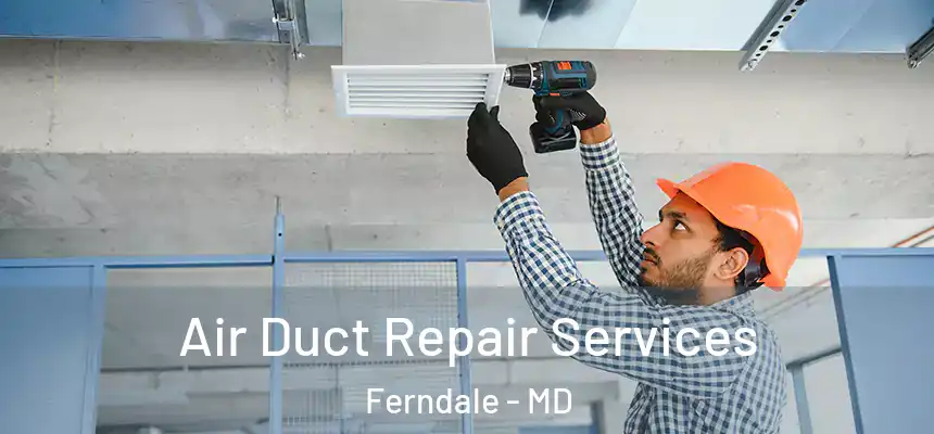  Air Duct Repair Services Ferndale - MD