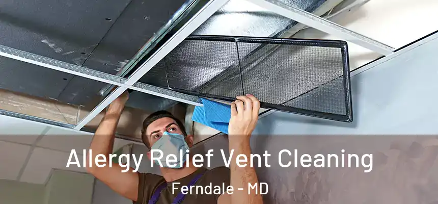  Allergy Relief Vent Cleaning Ferndale - MD