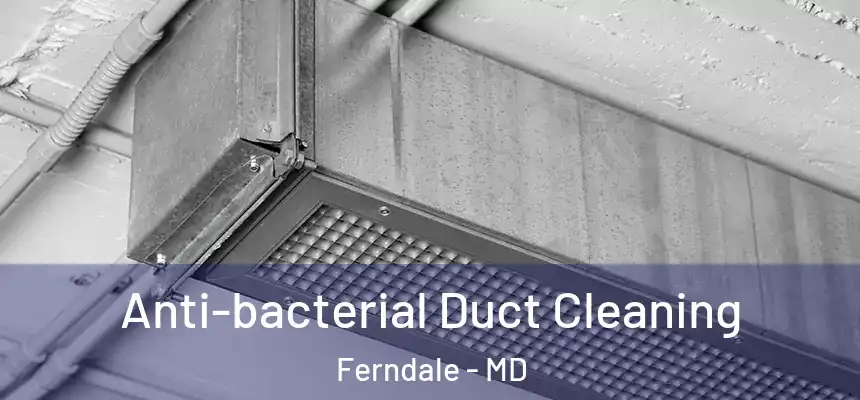  Anti-bacterial Duct Cleaning Ferndale - MD