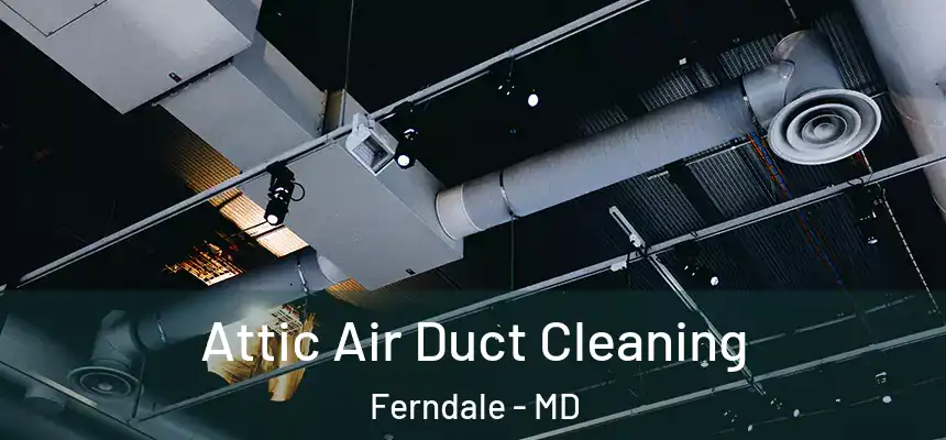  Attic Air Duct Cleaning Ferndale - MD