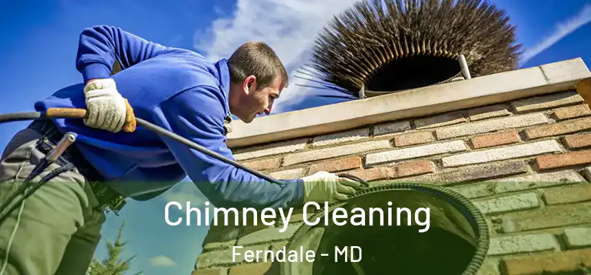  Chimney Cleaning Ferndale - MD