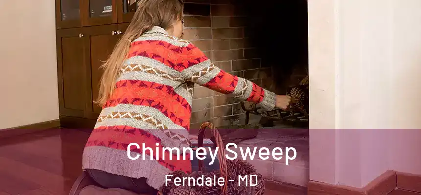 Chimney Sweep Ferndale - MD