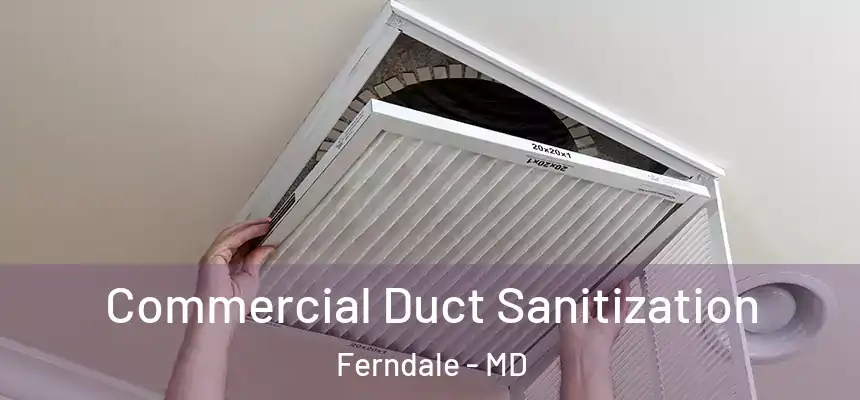 Commercial Duct Sanitization Ferndale - MD