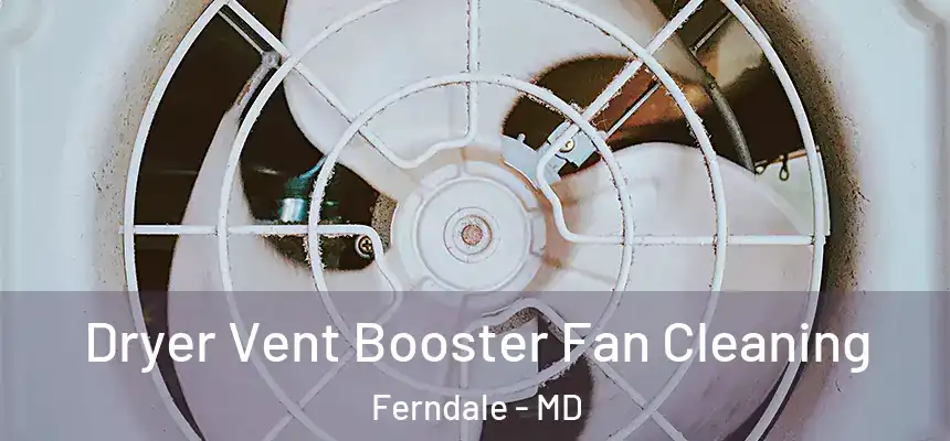  Dryer Vent Booster Fan Cleaning Ferndale - MD
