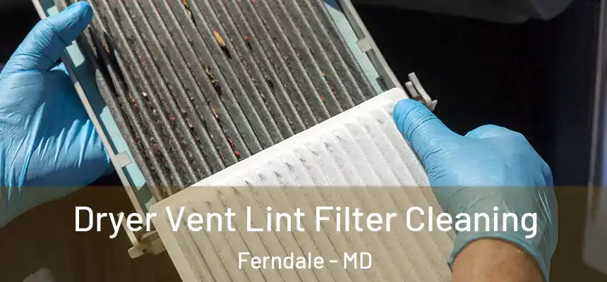  Dryer Vent Lint Filter Cleaning Ferndale - MD