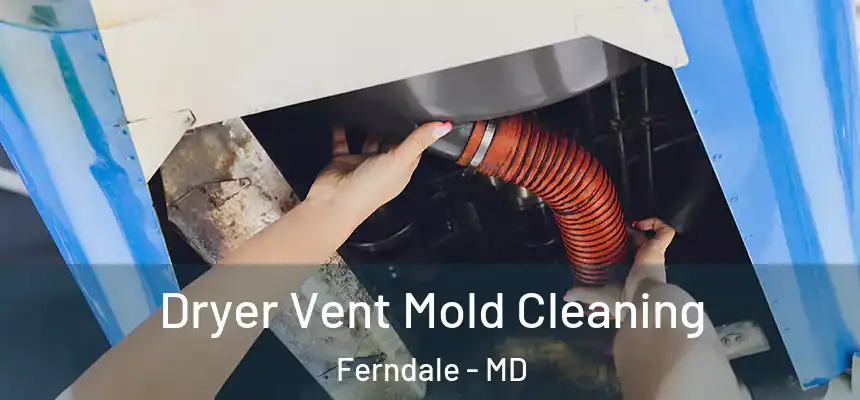  Dryer Vent Mold Cleaning Ferndale - MD