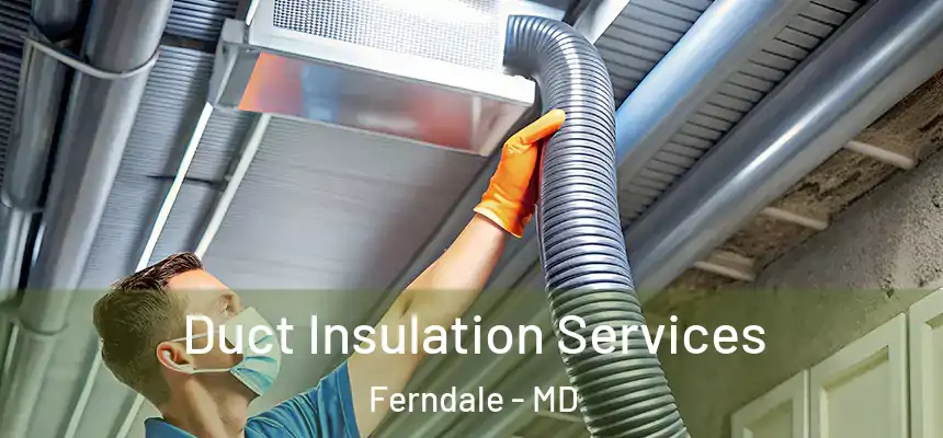 Duct Insulation Services Ferndale - MD