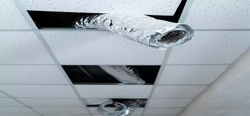 Affordable HVAC Sanitizing After Pest Removal in Ferndale