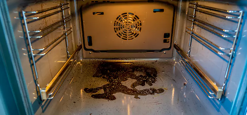 Our Dryer Vent Mold Cleaning Services in Ferndale, MD