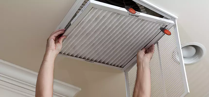 Our Insect Removal from Air Ducts Services in Ferndale, MD