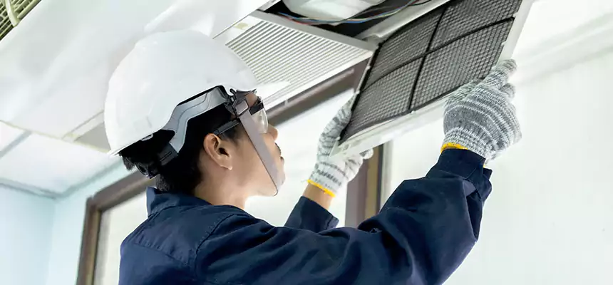 Our Mold & Mildew Removal from Air Ducts Services in Ferndale, MD