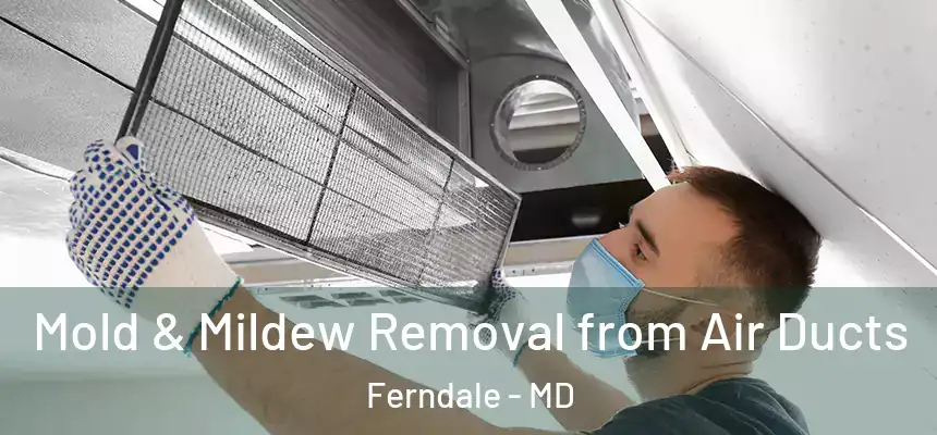  Mold & Mildew Removal from Air Ducts Ferndale - MD