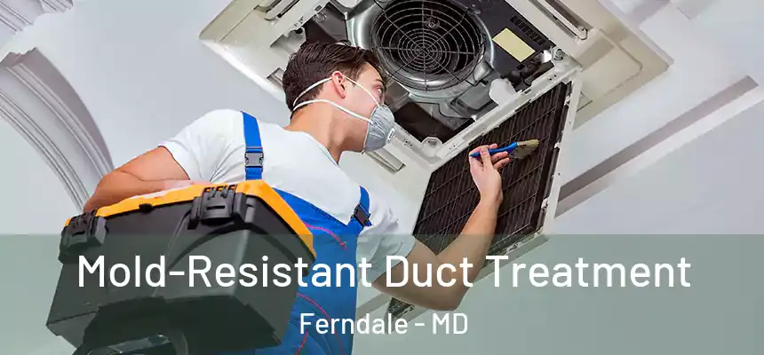  Mold-Resistant Duct Treatment Ferndale - MD