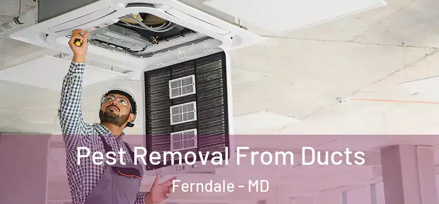 Pest Removal From Ducts Ferndale - MD