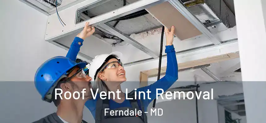  Roof Vent Lint Removal Ferndale - MD