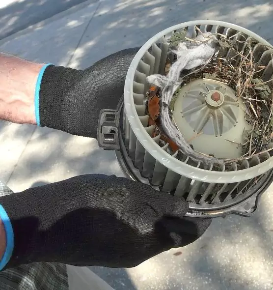 About Air Duct Mice Removal in Ferndale, MD