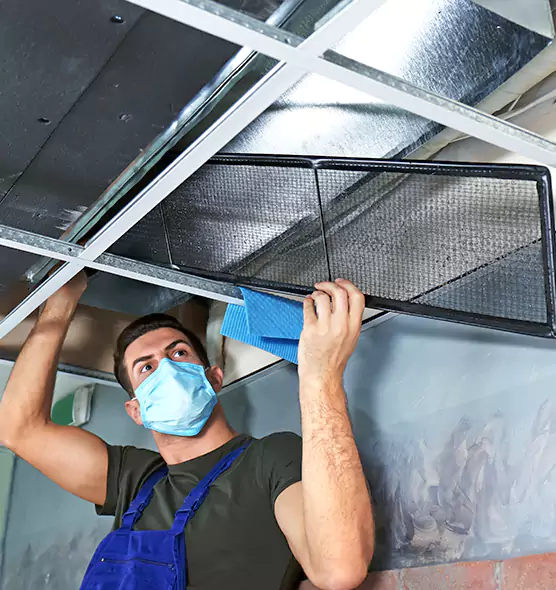 Professional Air Duct Pollen Cleaning in Ferndale, MD