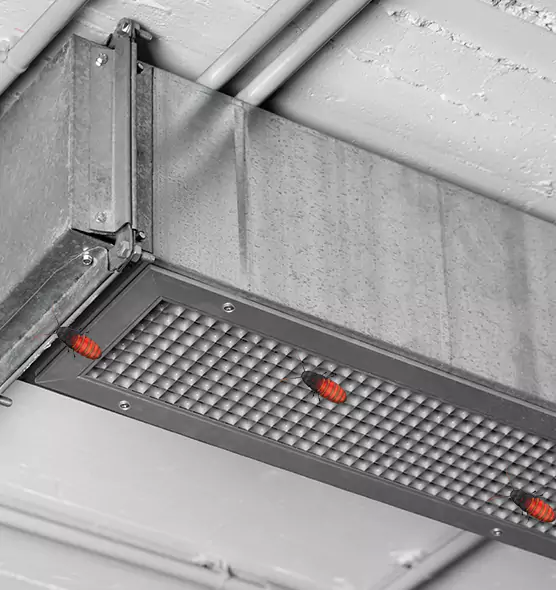 Affordable Insect Removal from Air Ducts in Ferndale, MD