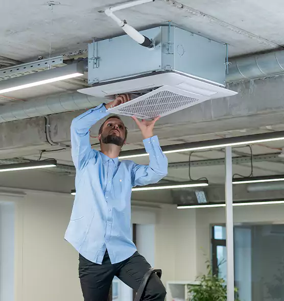 Advanced Rodent Droppings In Vents in Ferndale, MD