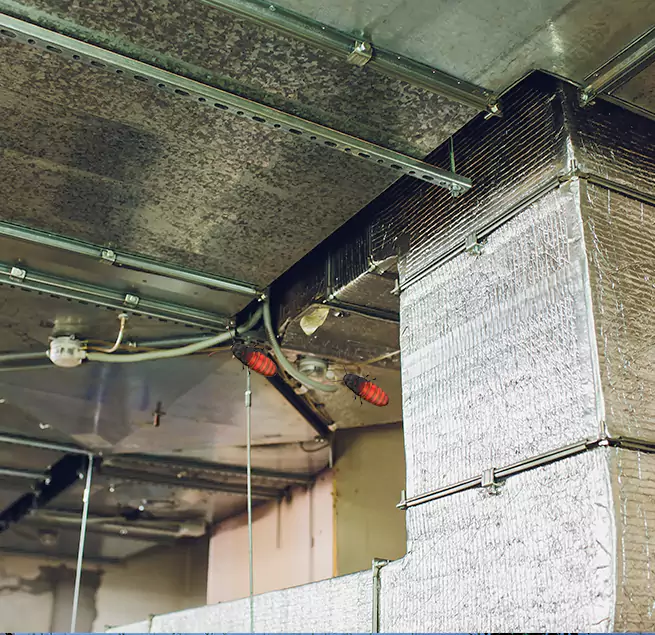 Why Homeowners & Businesses Trust Us in Ferndale, MD?