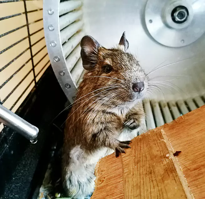 Why Homeowners & Businesses Trust Us Ferndale, MD?