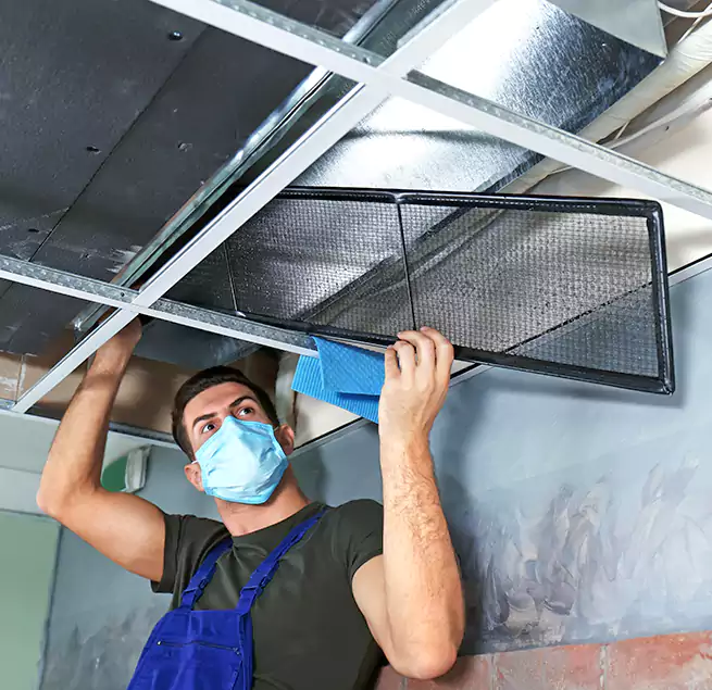 Why Homeowners Businesses Trust Us in Ferndale, MD