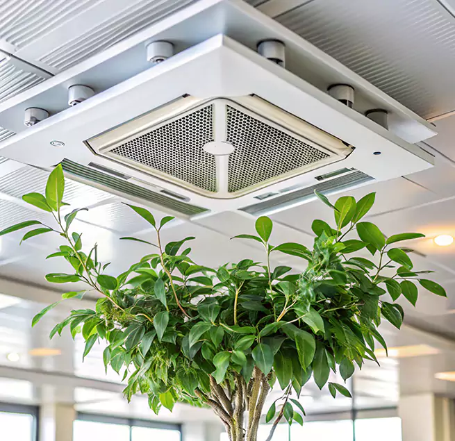 Why Homeowners & Businesses Trust Us in Ferndale, MD?