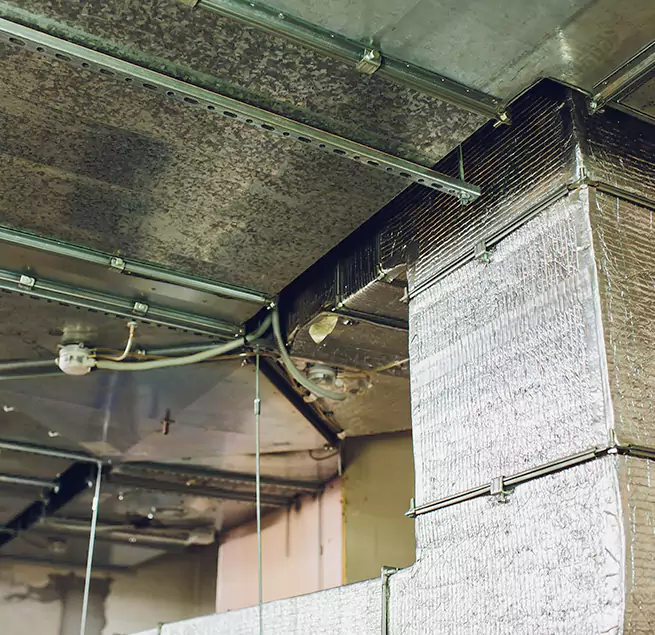 Why Homeowners & Businesses Trust Us in Ferndale, MD?